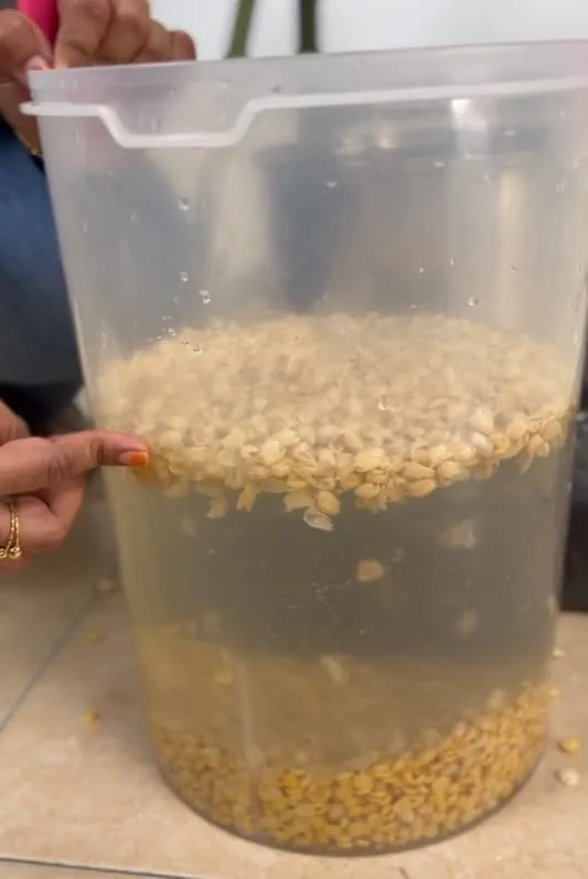 Kacang soya direndam dalam air untuk asingkan kulit