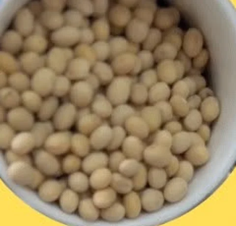 Kacang soya sebelum dikupas, masih berkulit