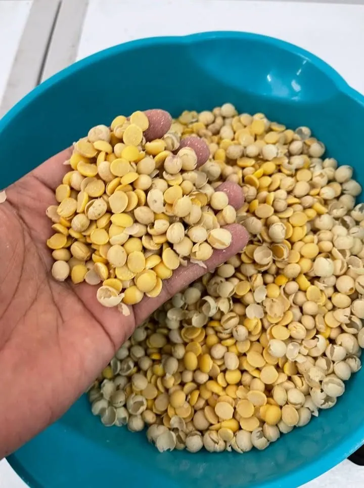 Kacang soya selepas dikupas guna mesin
